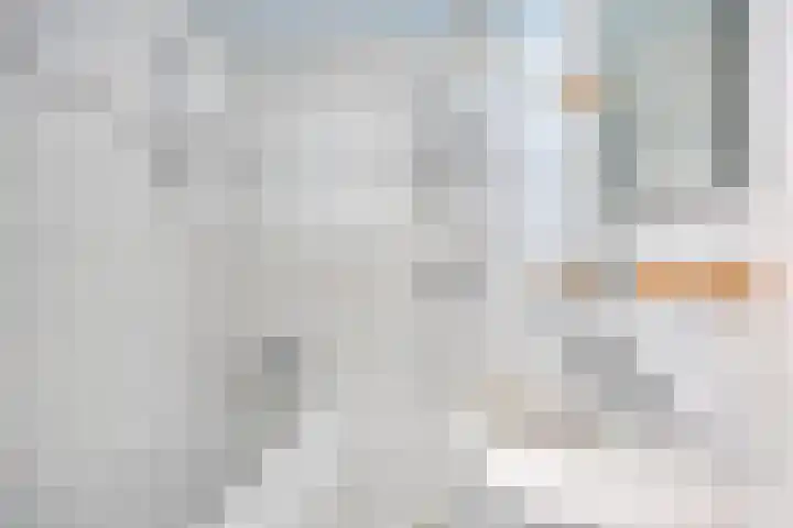 Roerdompstraat 81 Velp thumbnail 20