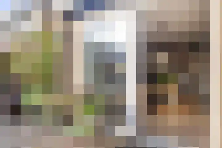 Roerdompstraat 81 Velp thumbnail 34