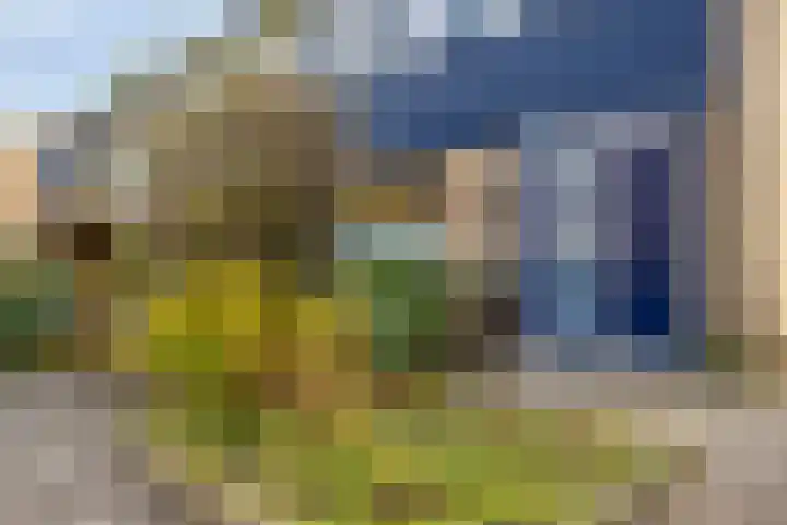 Roerdompstraat 81 Velp thumbnail 5