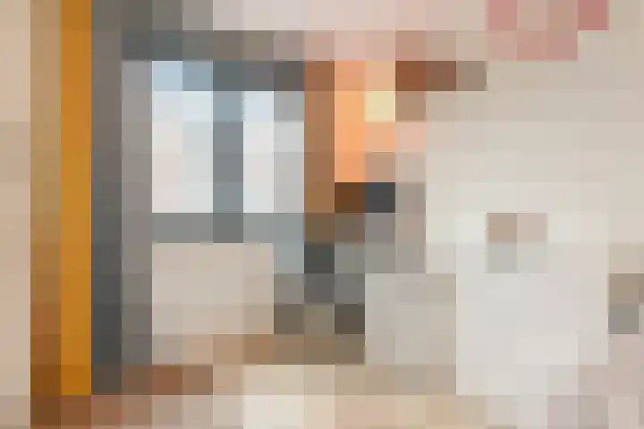 Roerdompstraat 9 Den Haag thumbnail 22
