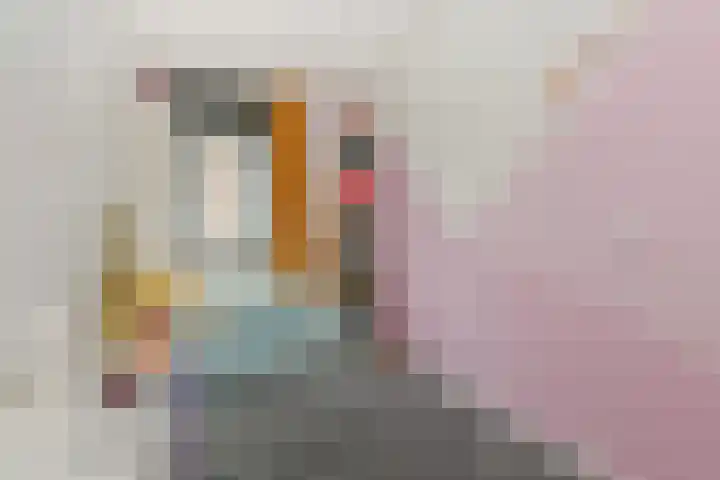 Roerdompstraat 9 Den Haag thumbnail 25