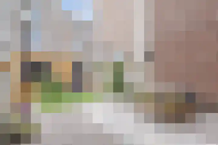 Roerdompstraat 9 Den Haag thumbnail 32