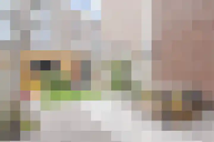 Roerdompstraat 9 Den Haag thumbnail 34