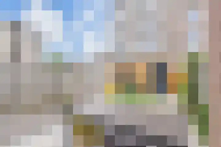 Roerdompstraat 9 Den Haag thumbnail 37