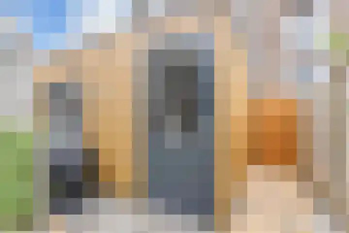 Roerdompstraat 9 Den Haag thumbnail 38