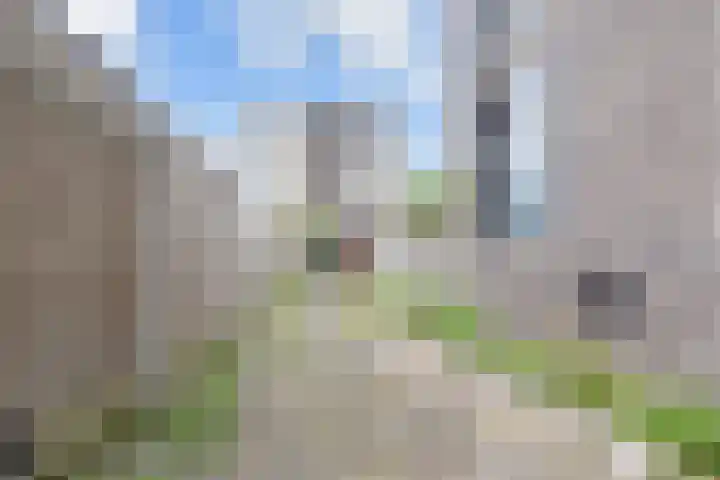 Roerdompstraat 9 Den Haag thumbnail 45
