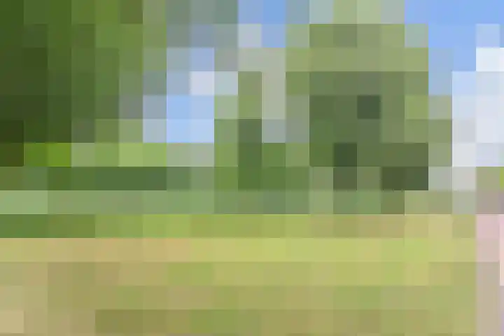 Roerdompstraat 9 Den Haag thumbnail 47