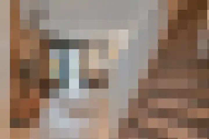 Roerdompstraat 9 Den Haag thumbnail 7