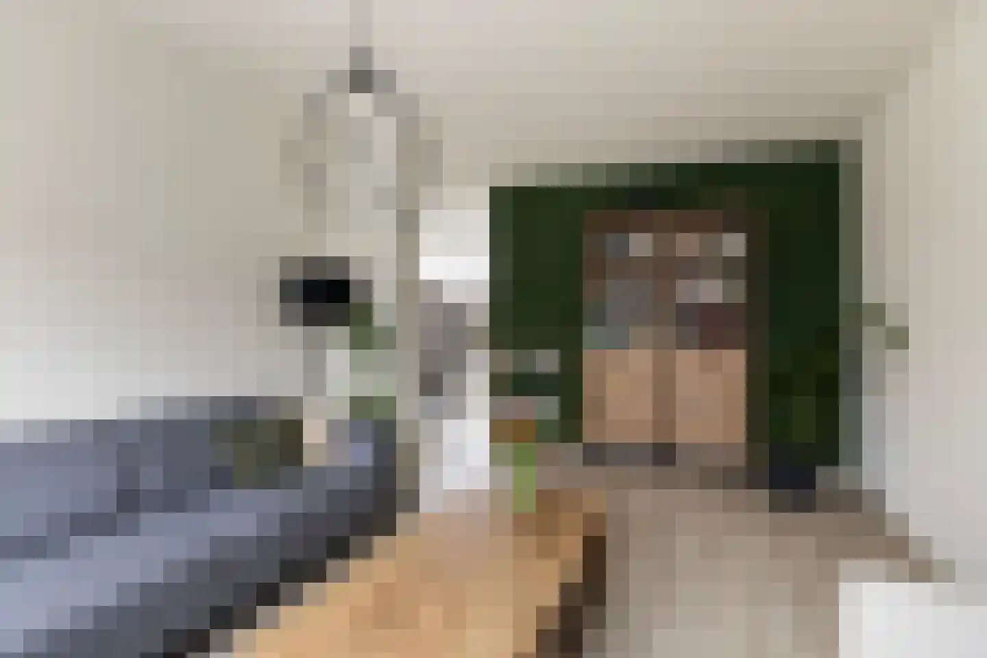 Roerdompstraat 9 Strijen thumbnail 12