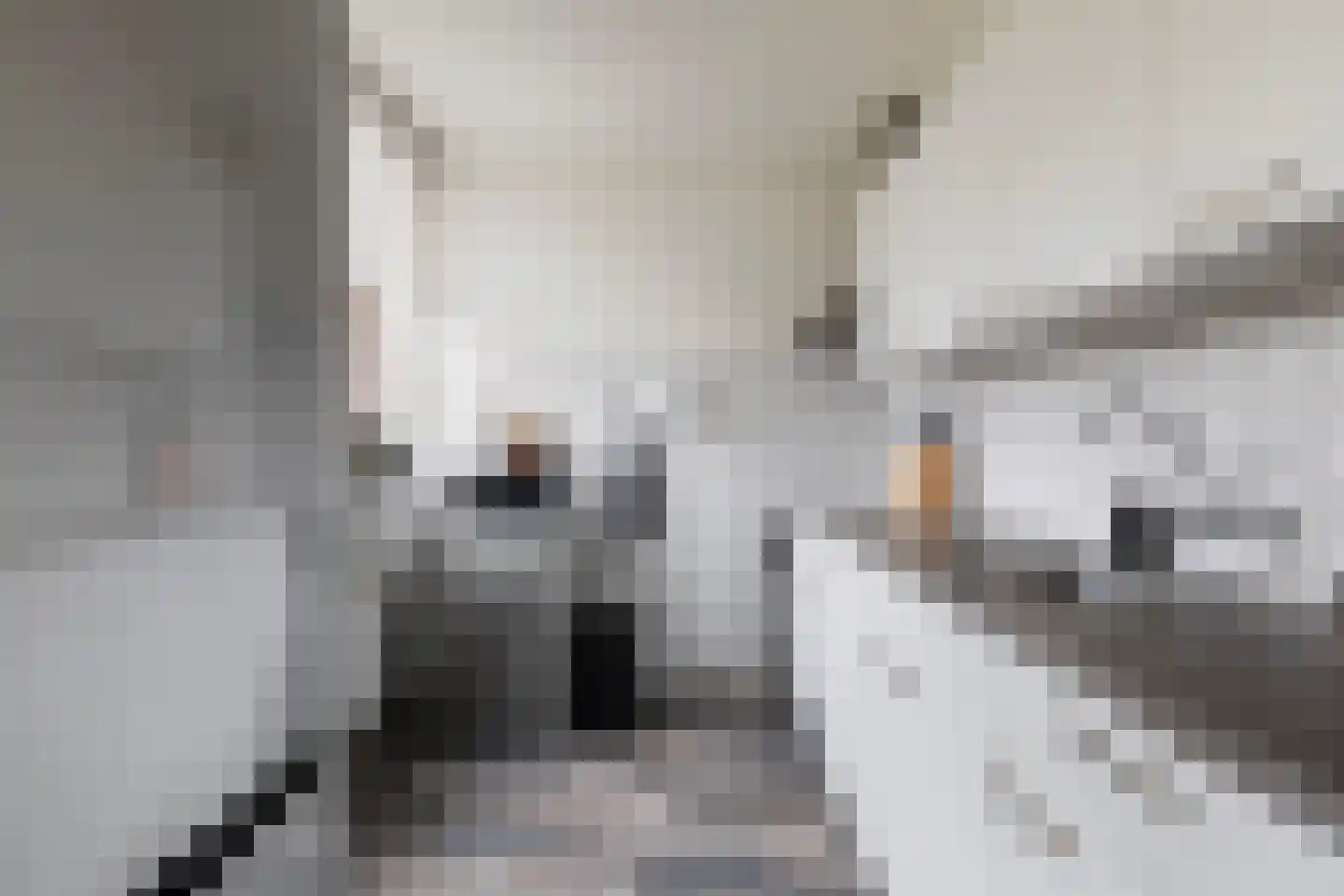 Roerdompstraat 9 Strijen thumbnail 15