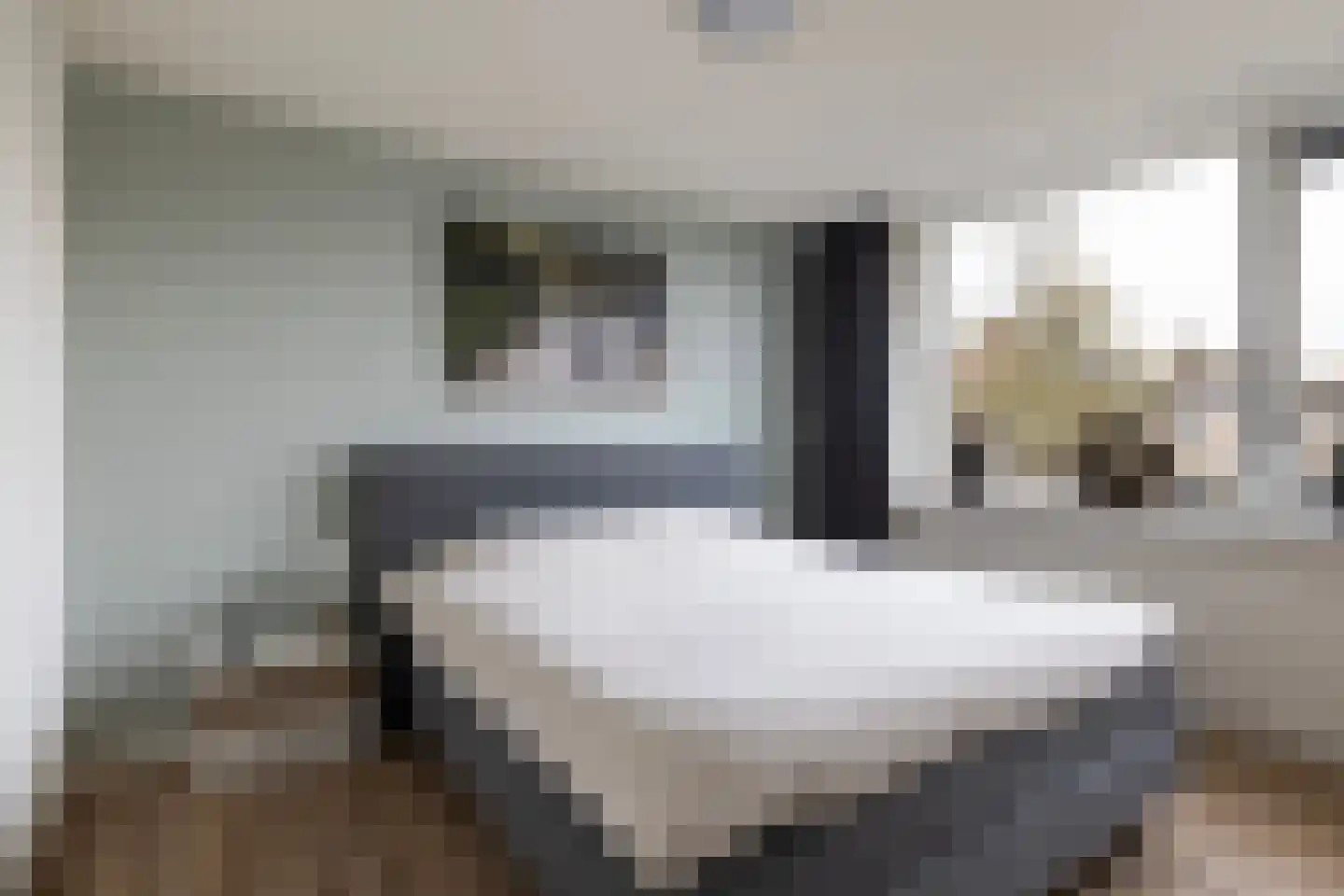 Roerdompstraat 9 Strijen thumbnail 20