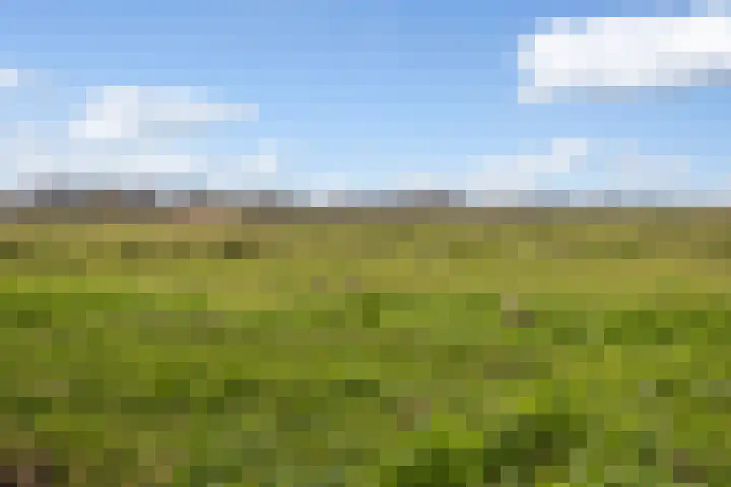 Roerdompstraat 9 Strijen thumbnail 46