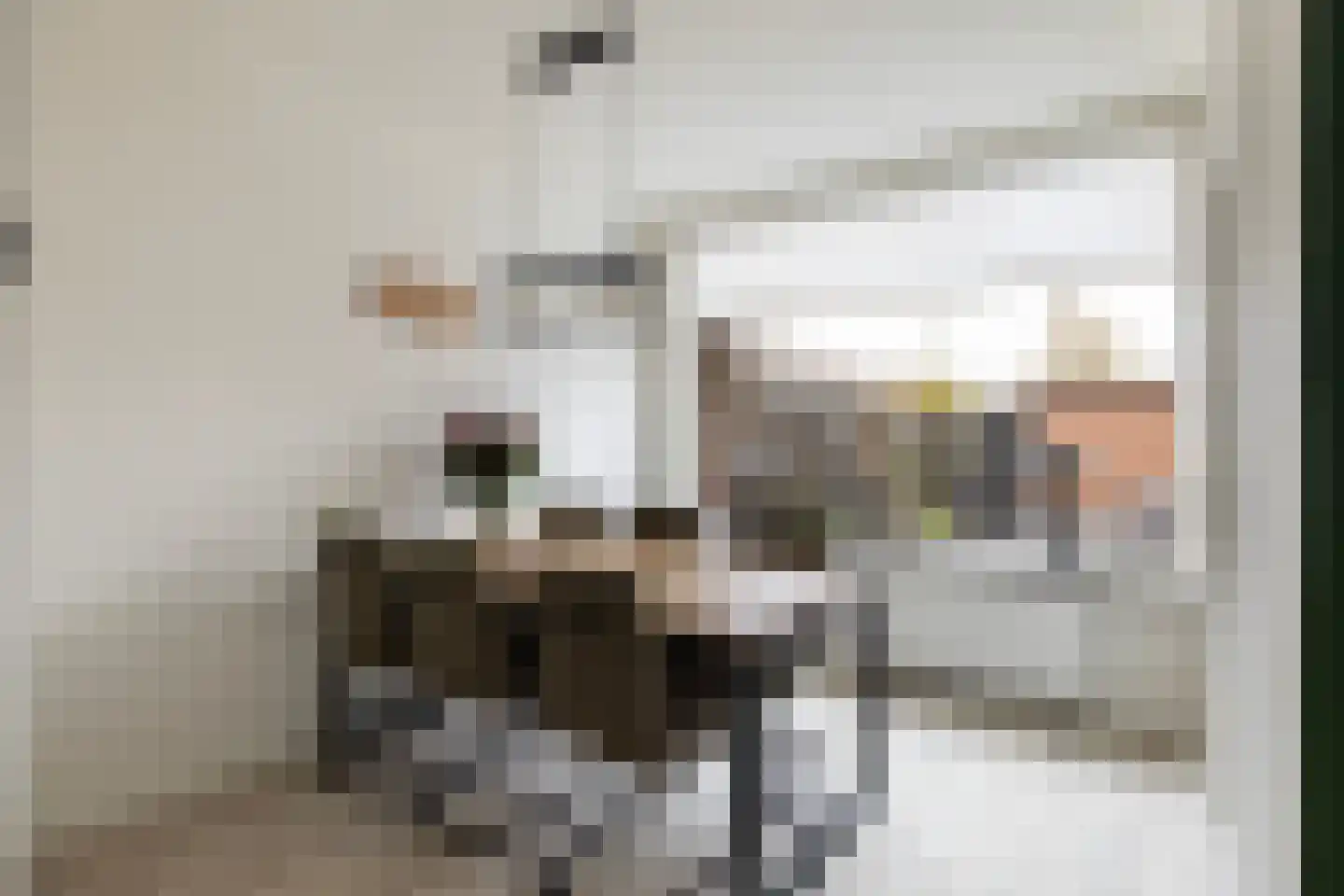 Roerdompstraat 9 Strijen thumbnail 7