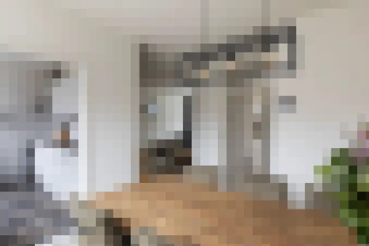 Roerdompstraat 9 Strijen thumbnail 8