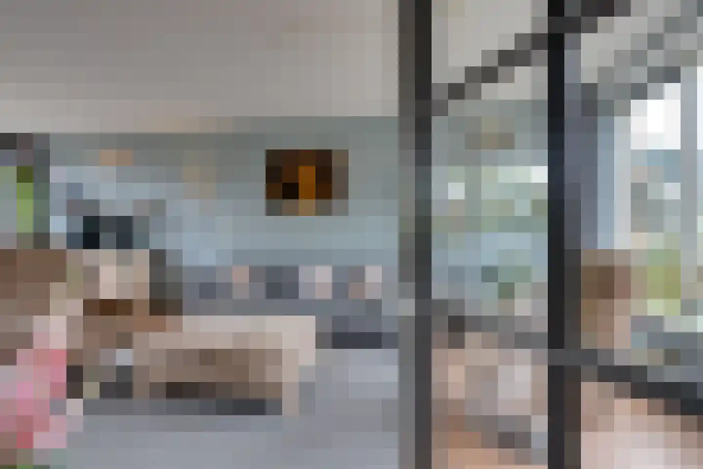 Roerdompstraat 9 Westzaan thumbnail 12