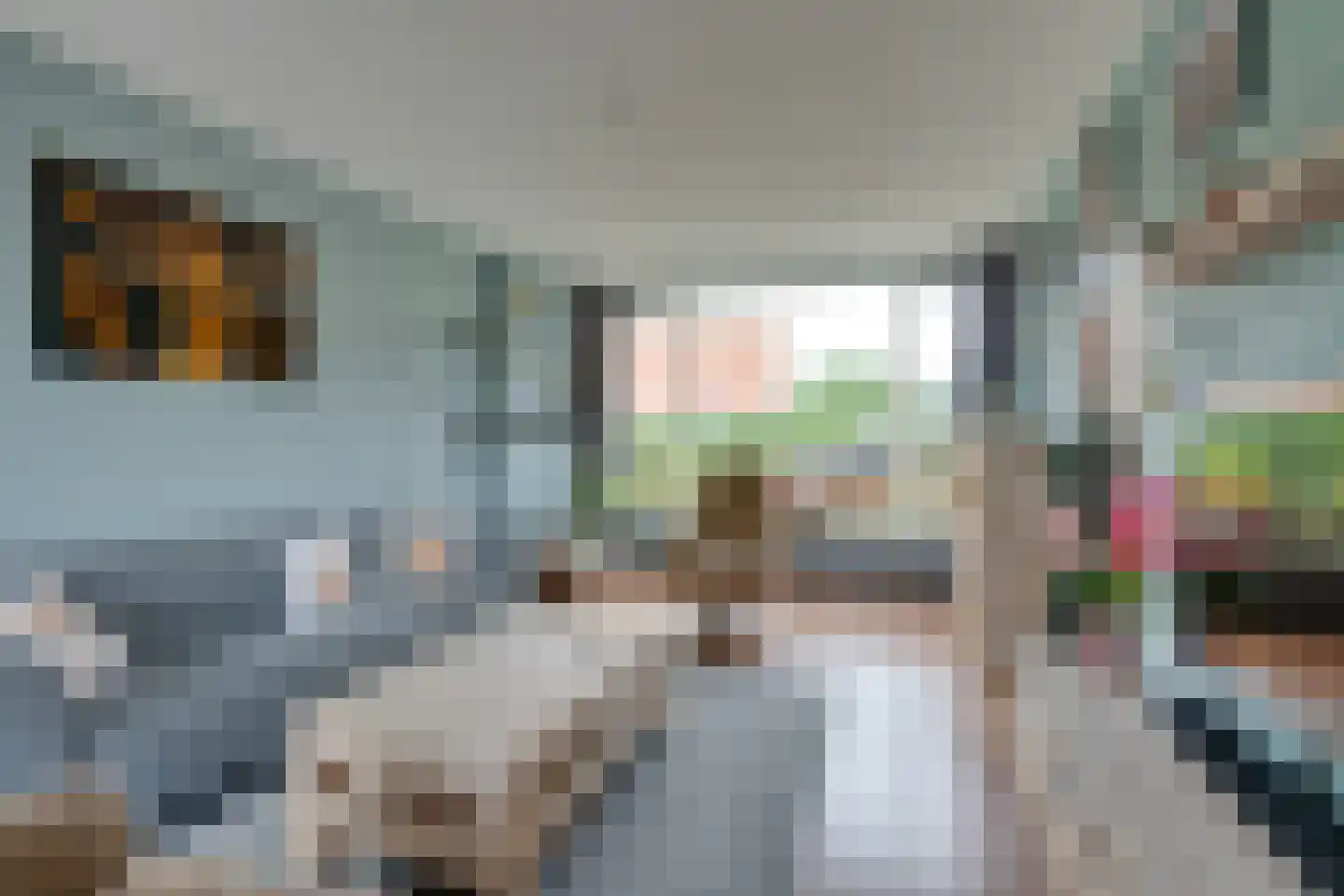 Roerdompstraat 9 Westzaan thumbnail 13