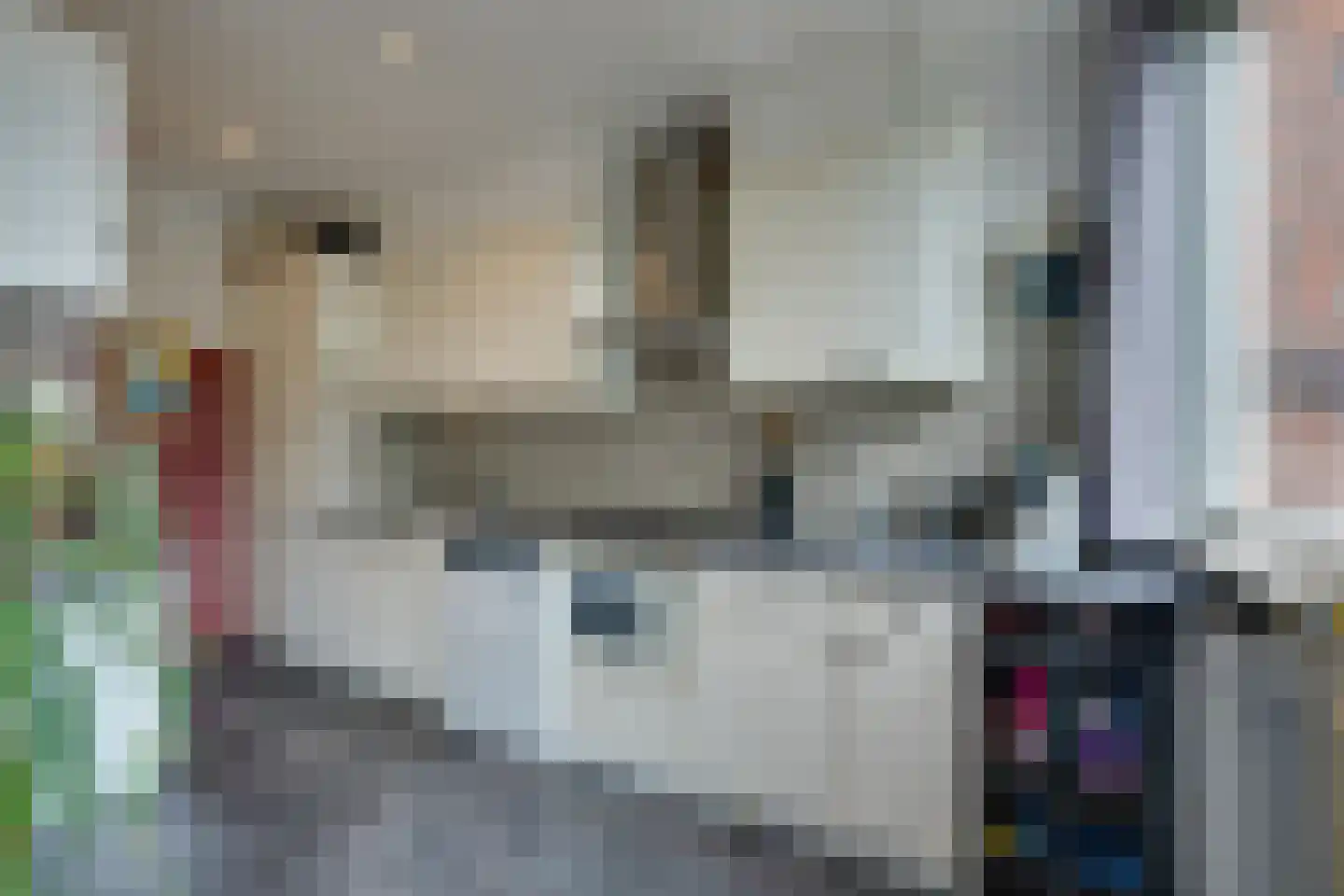 Roerdompstraat 9 Westzaan thumbnail 19