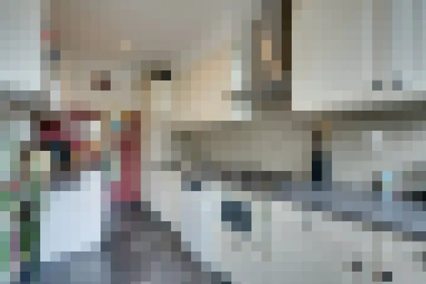 Roerdompstraat 9 Westzaan thumbnail 20