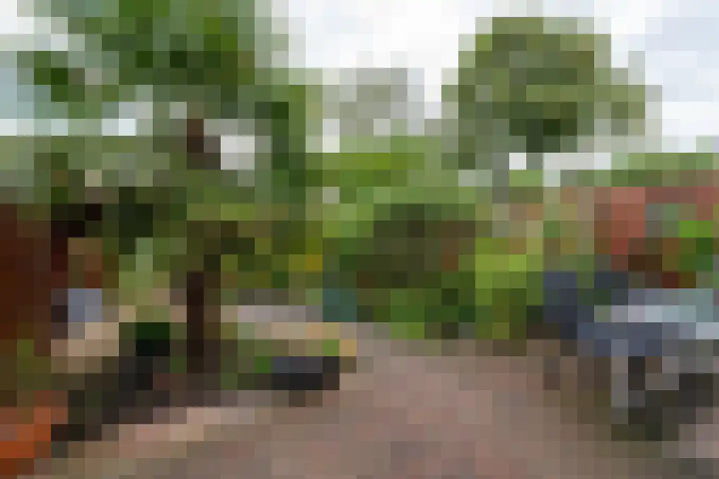 Roerdompstraat 9 Westzaan thumbnail 23