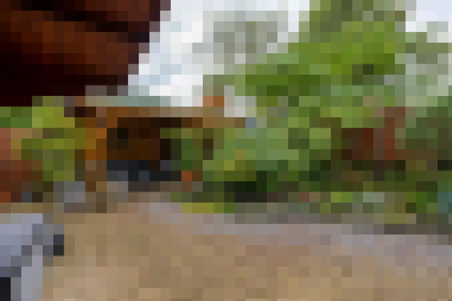 Roerdompstraat 9 Westzaan thumbnail 25