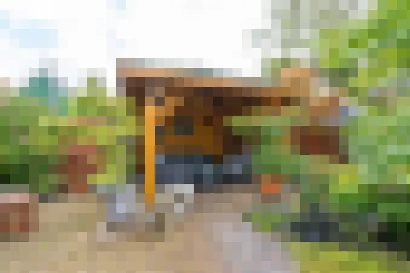 Roerdompstraat 9 Westzaan thumbnail 26