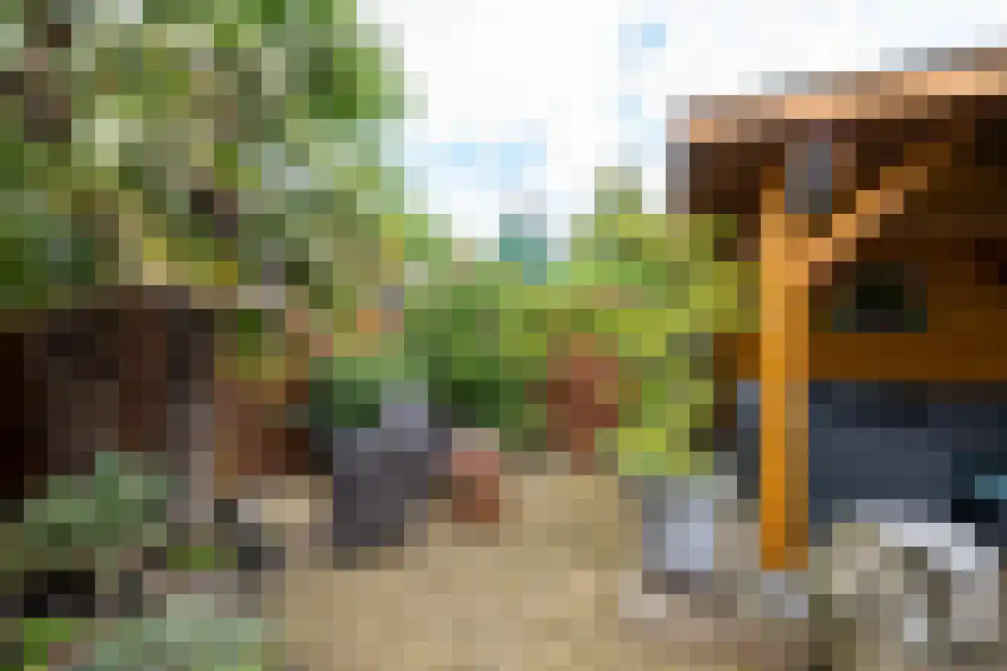 Roerdompstraat 9 Westzaan thumbnail 27