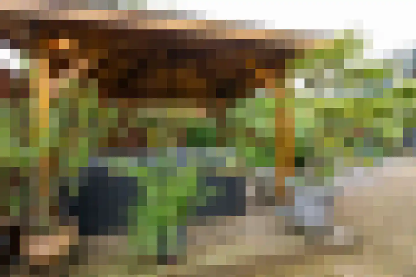 Roerdompstraat 9 Westzaan thumbnail 28
