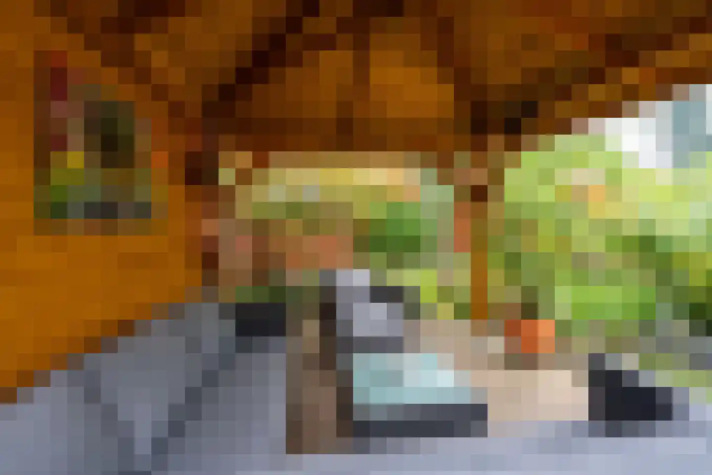 Roerdompstraat 9 Westzaan thumbnail 30