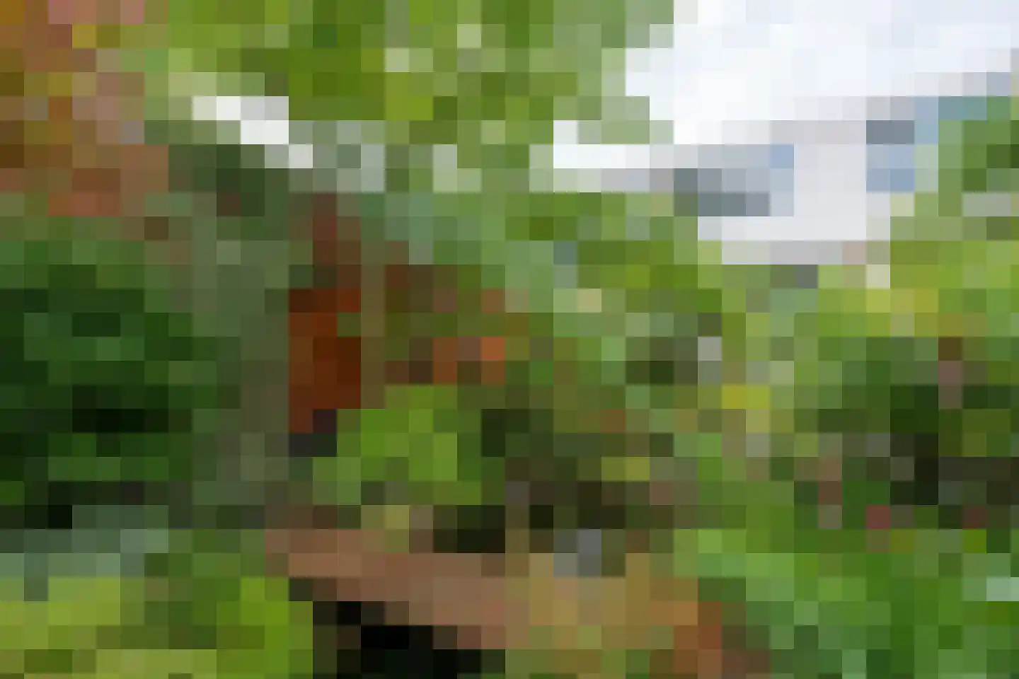 Roerdompstraat 9 Westzaan thumbnail 33