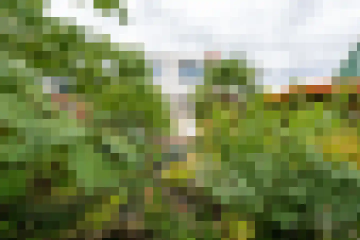 Roerdompstraat 9 Westzaan thumbnail 34