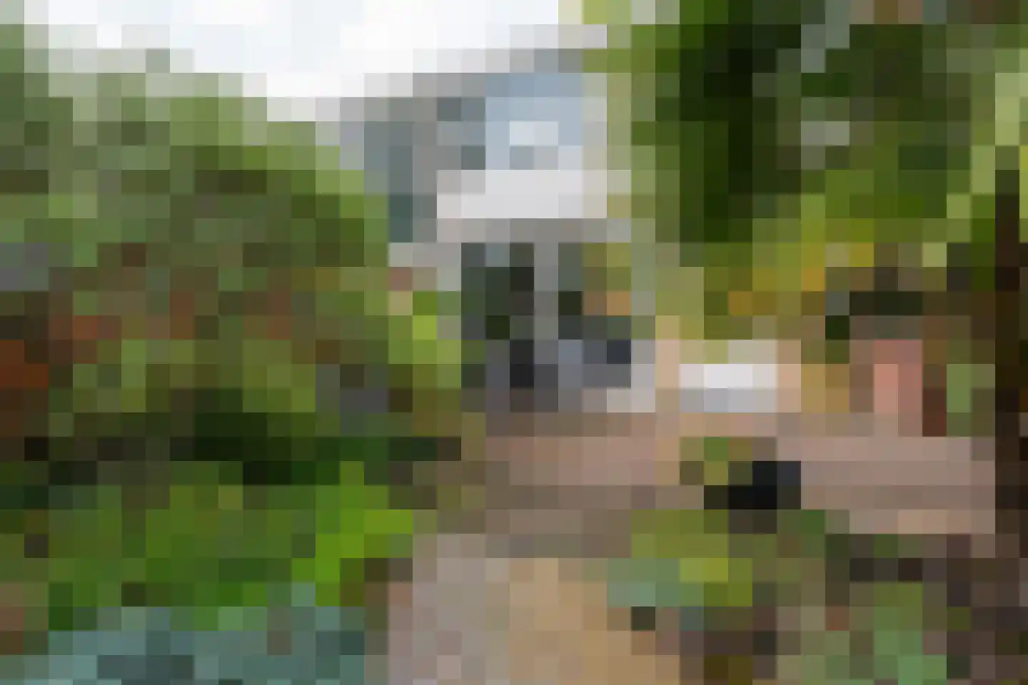 Roerdompstraat 9 Westzaan thumbnail 35