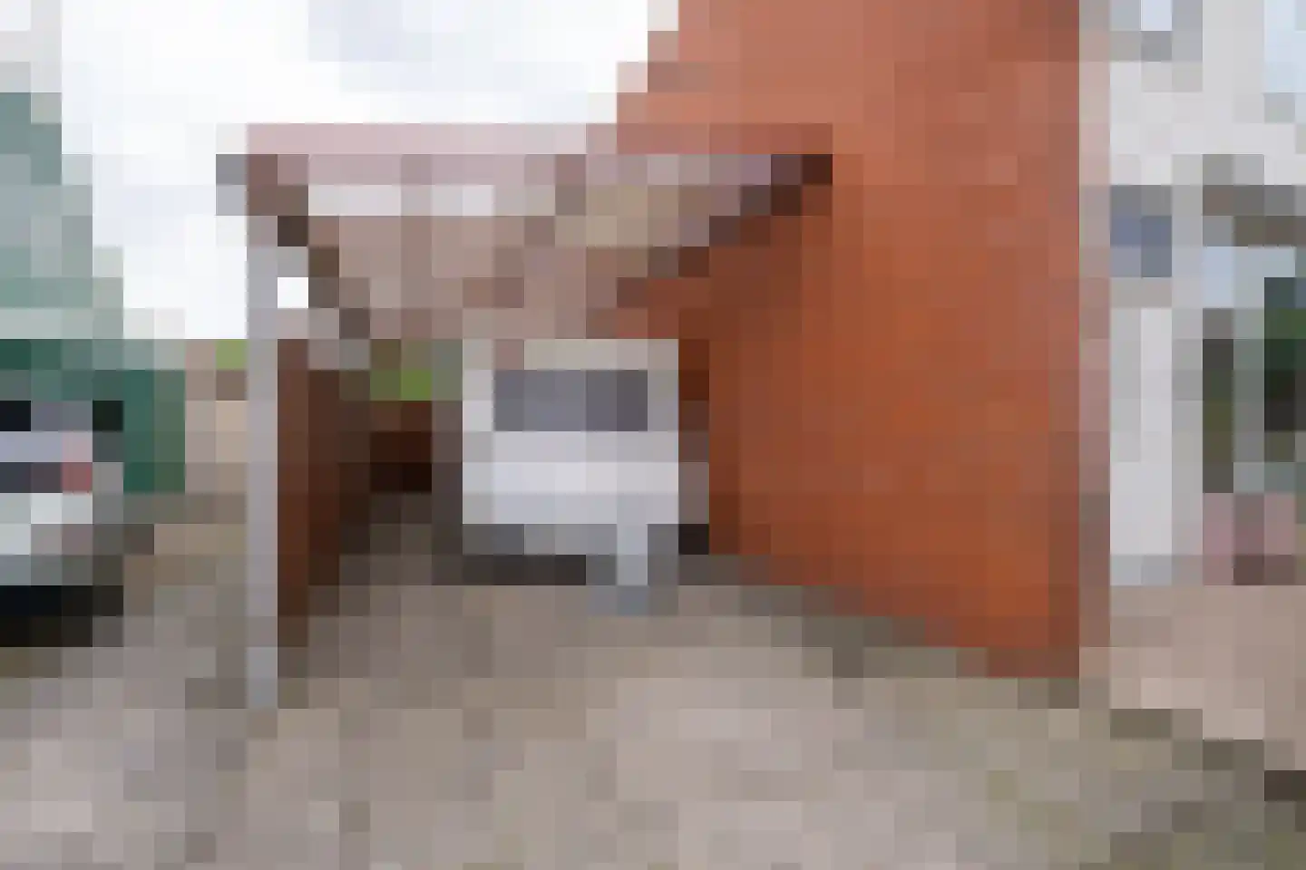 Roerdompstraat 9 Westzaan thumbnail 37