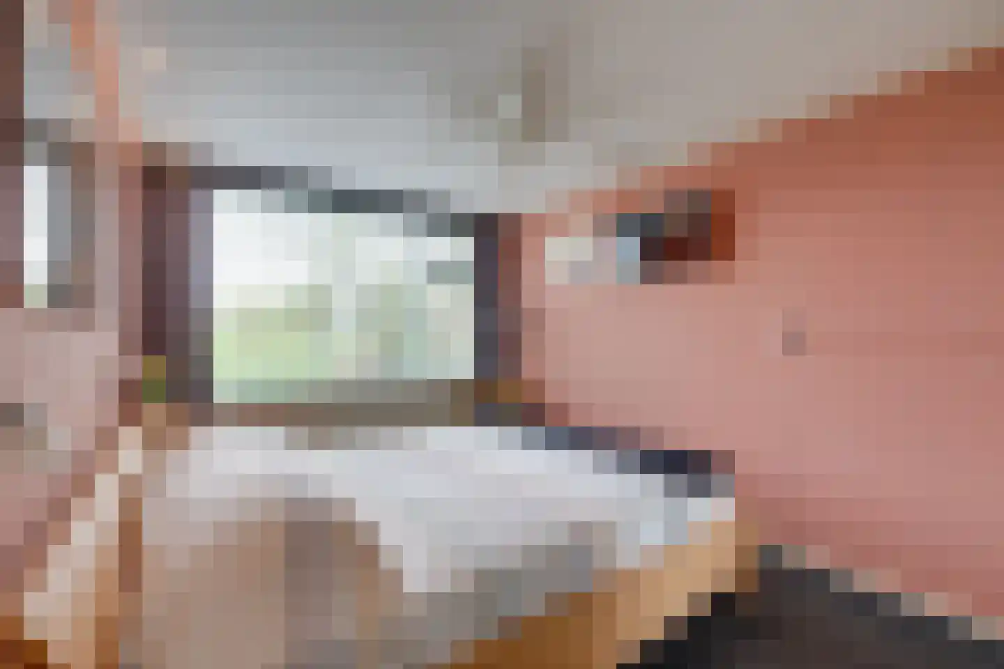Roerdompstraat 9 Westzaan thumbnail 39