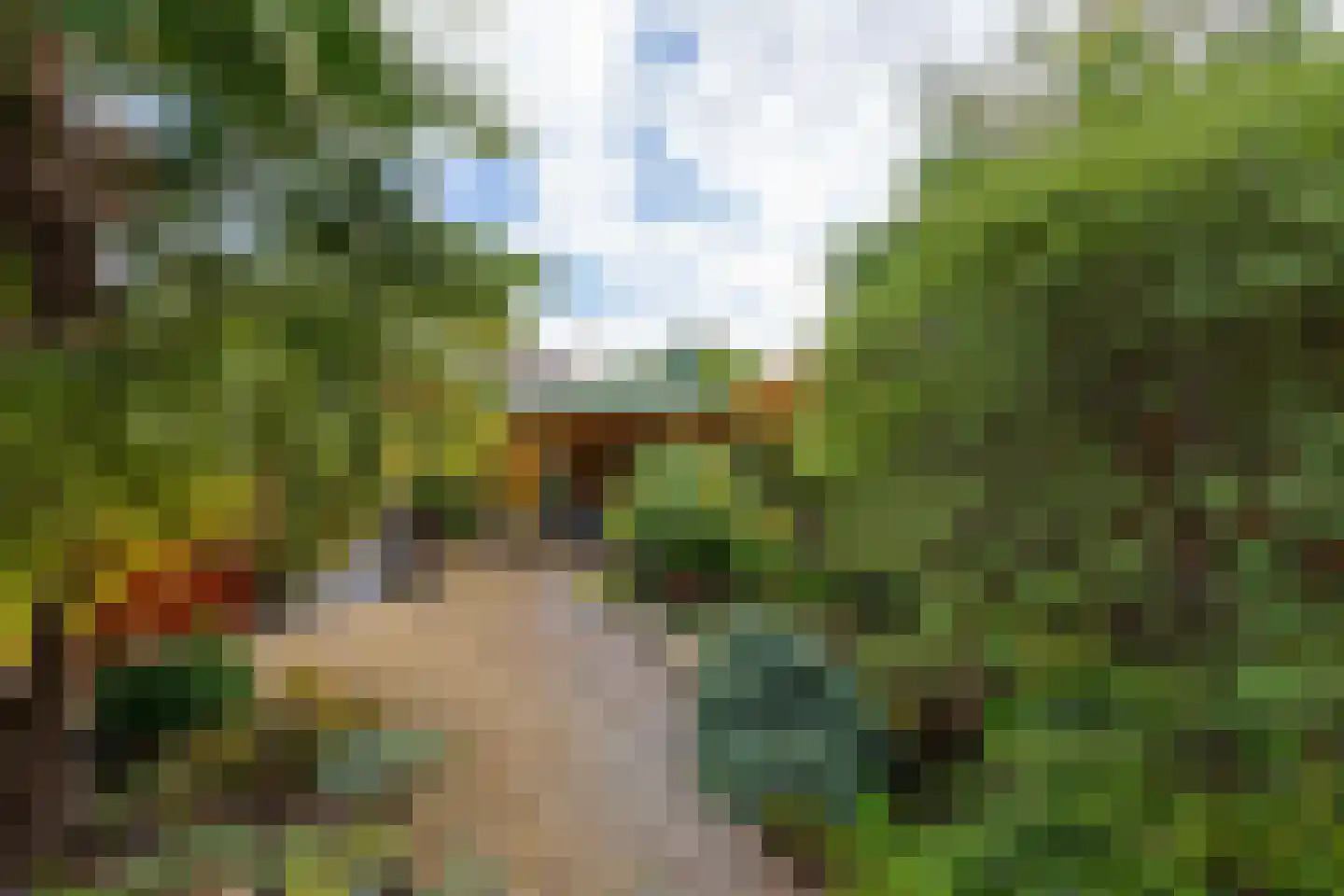 Roerdompstraat 9 Westzaan thumbnail 4