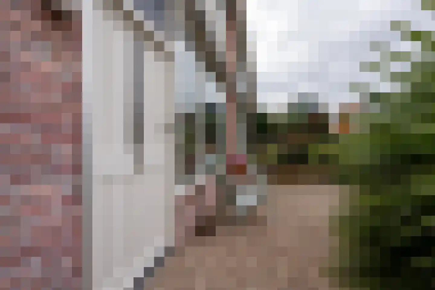 Roerdompstraat 9 Westzaan thumbnail 9