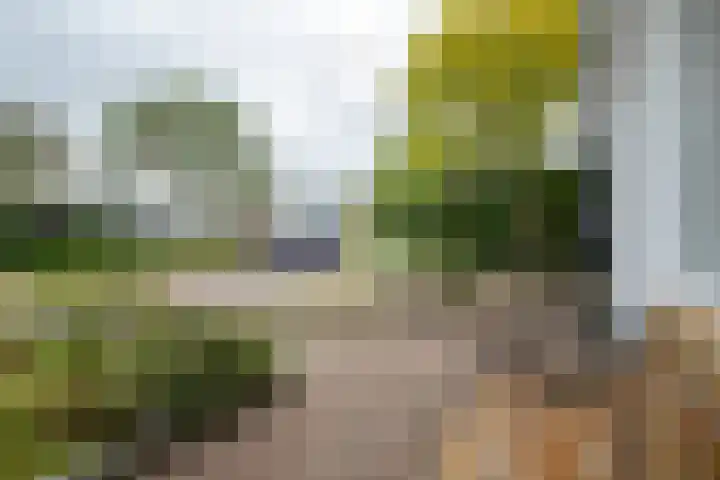 Roerdompweg 18 Haren Gn thumbnail 10