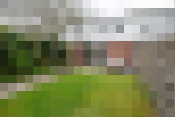 Roerdompweg 18 Haren Gn thumbnail 33