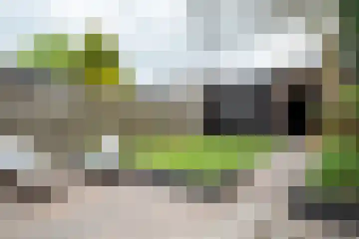 Roerdompweg 18 Haren Gn thumbnail 35