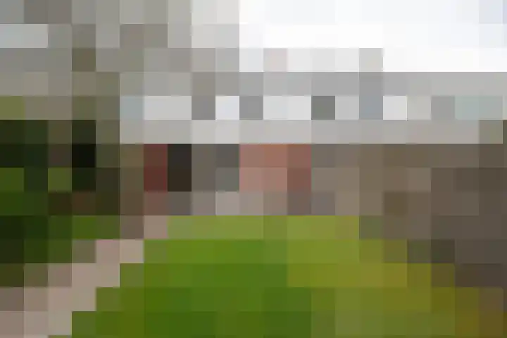 Roerdompweg 18 Haren Gn thumbnail 6