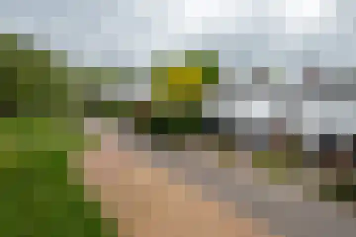 Roerdompweg 18 Haren Gn thumbnail 7