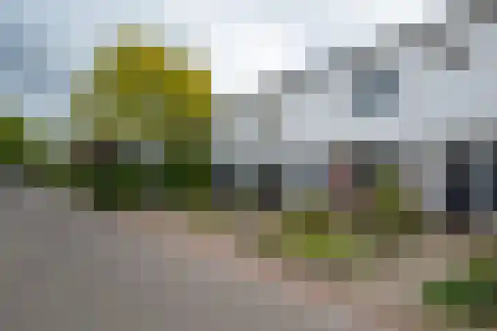 Roerdompweg 18 Haren Gn thumbnail 8