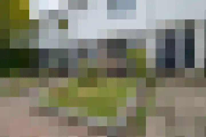 Roerdompweg 18 Haren Gn thumbnail 9