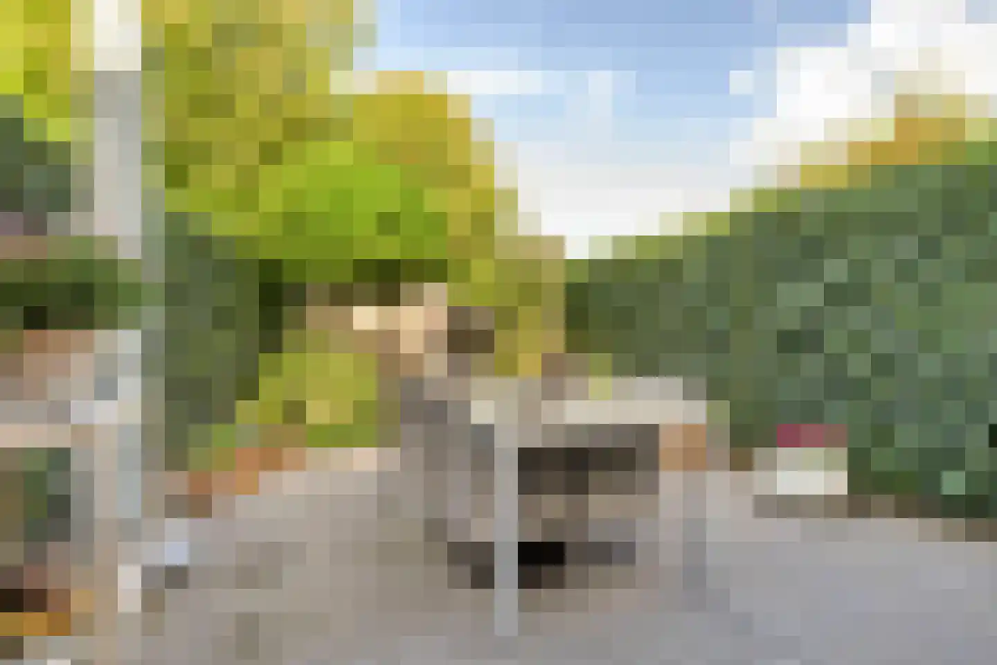 Roerdompweg 76 Oud-Beijerland thumbnail 35