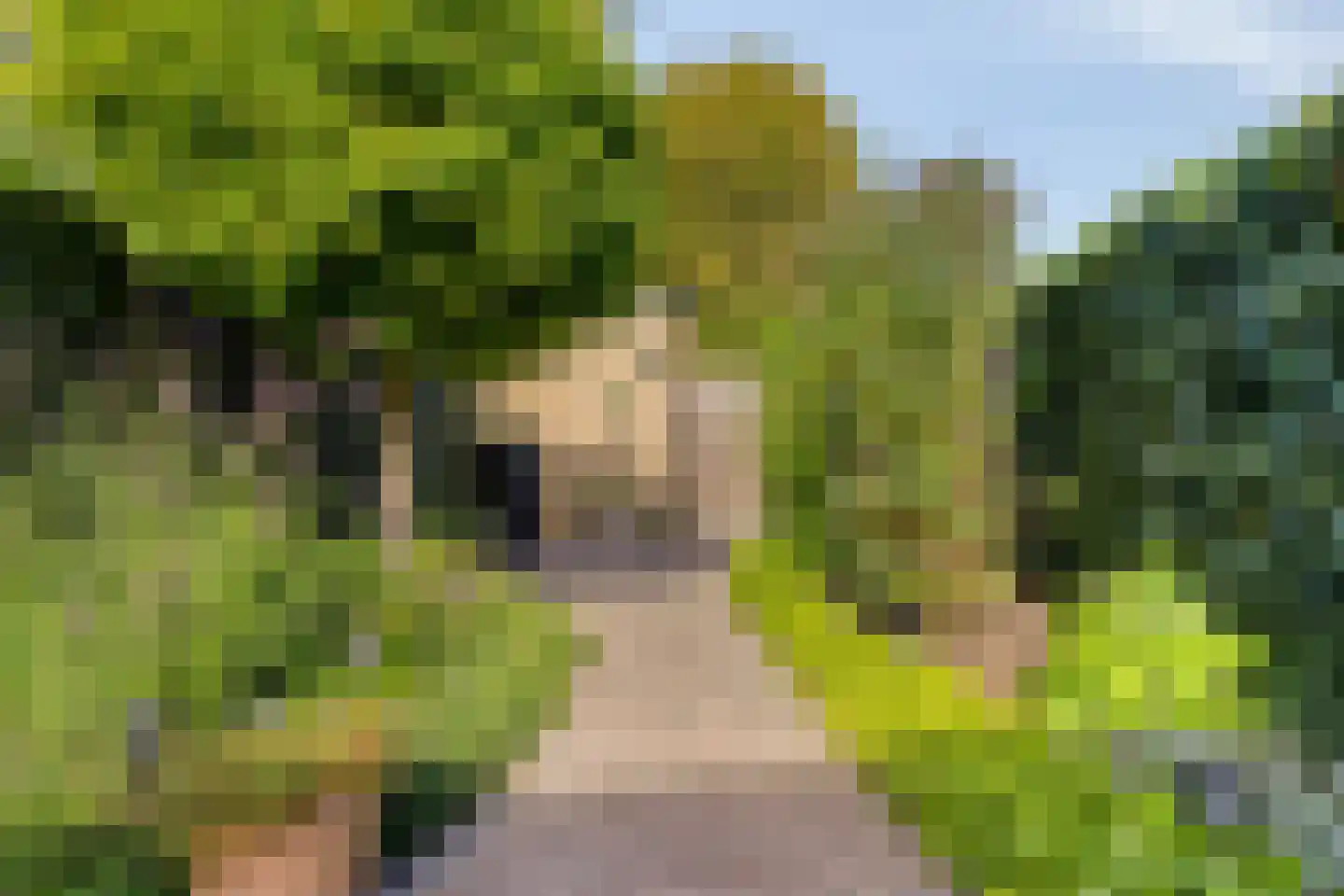 Roerdompweg 76 Oud-Beijerland thumbnail 36
