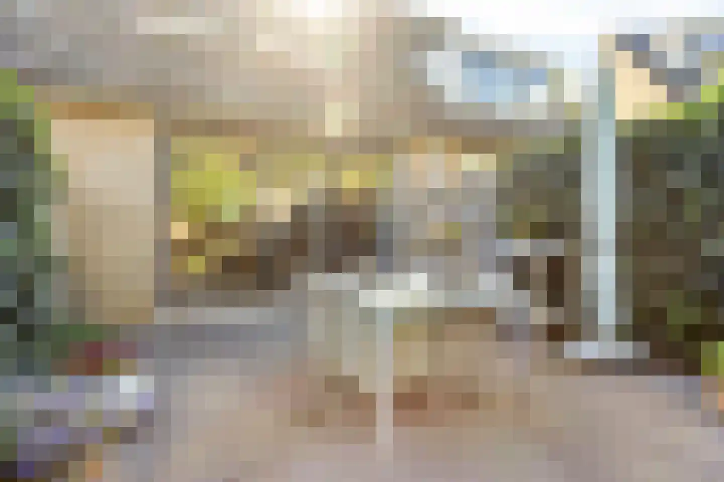 Roerdompweg 76 Oud-Beijerland thumbnail 37