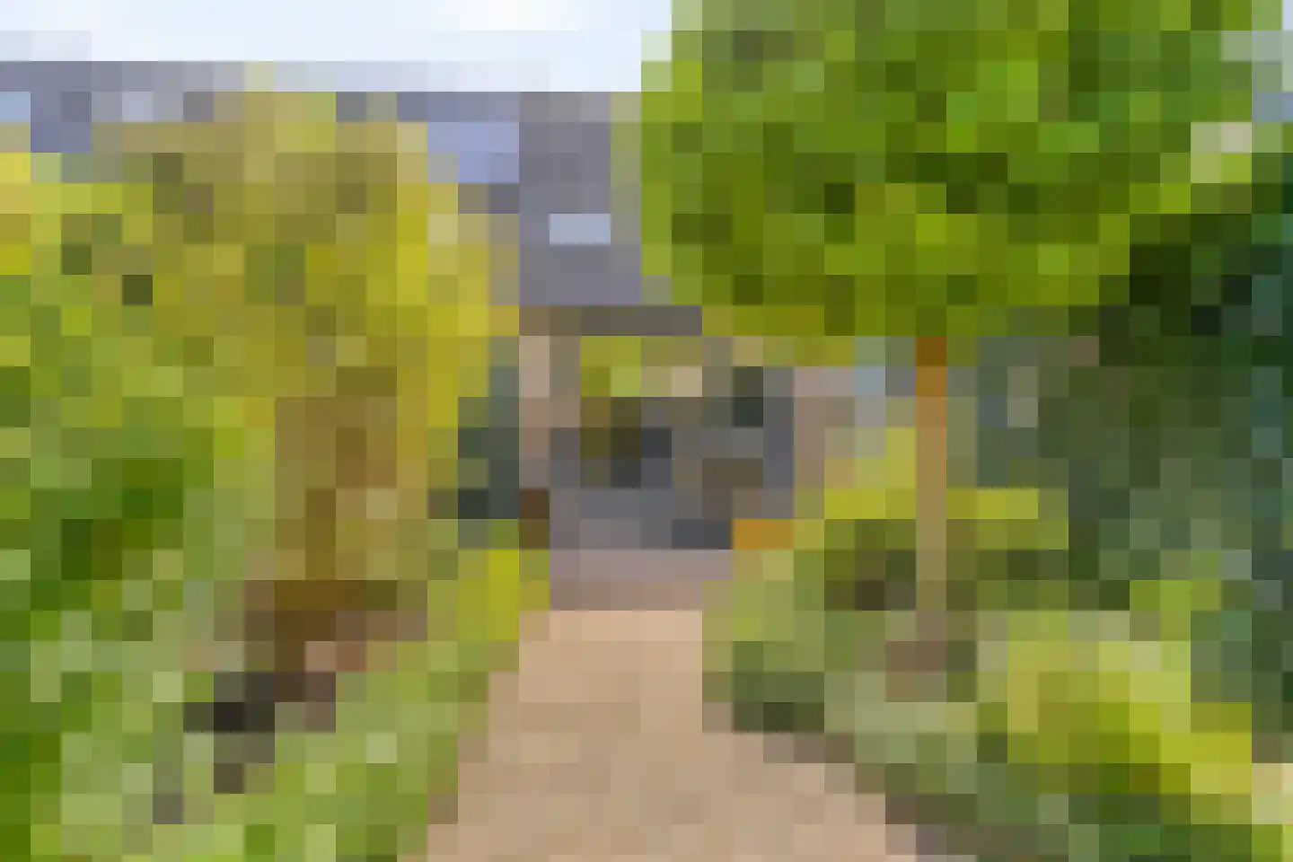 Roerdompweg 76 Oud-Beijerland thumbnail 38