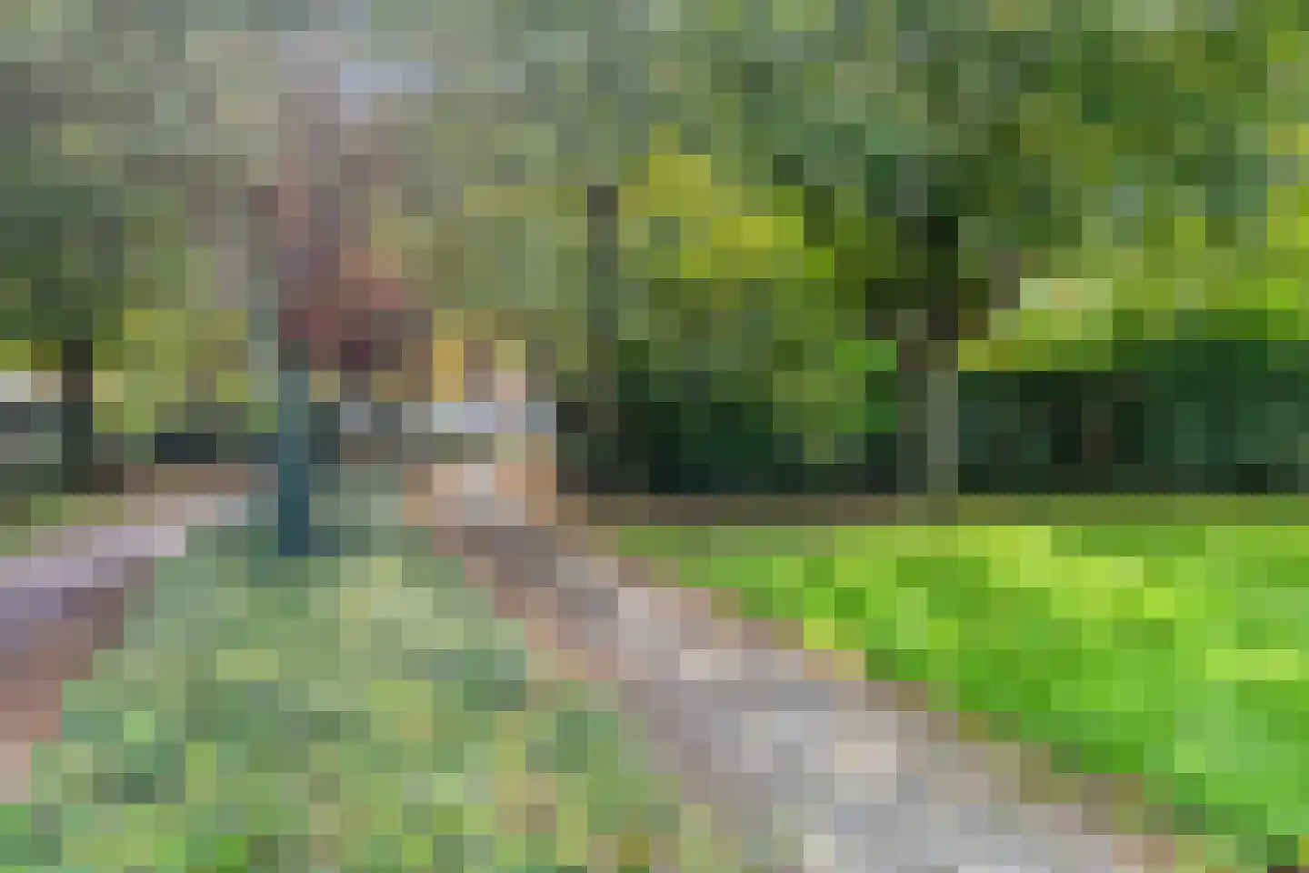 Roerdompweg 76 Oud-Beijerland thumbnail 40