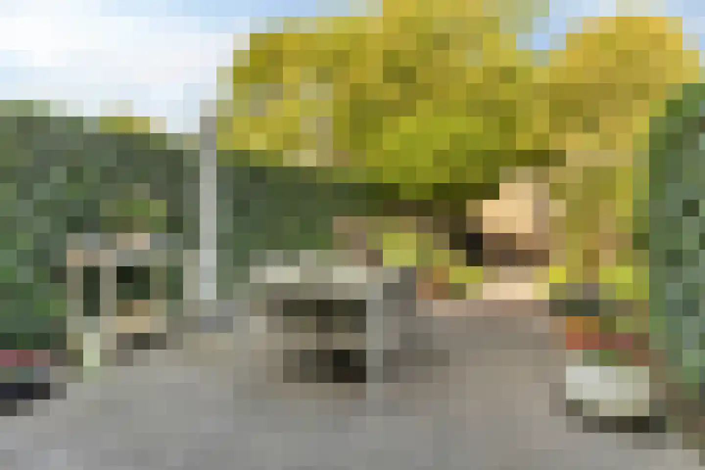 Roerdompweg 76 Oud-Beijerland thumbnail 5