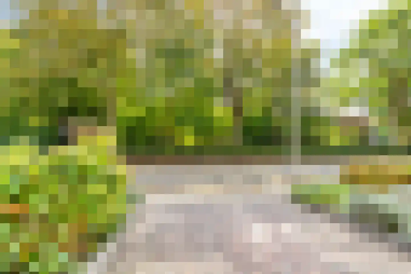 Roerdompweg 76 Oud-Beijerland thumbnail 9