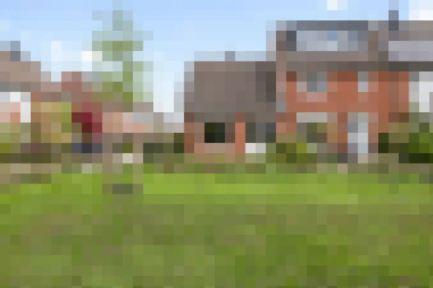 Roerdompweide 2 Houten foto 2